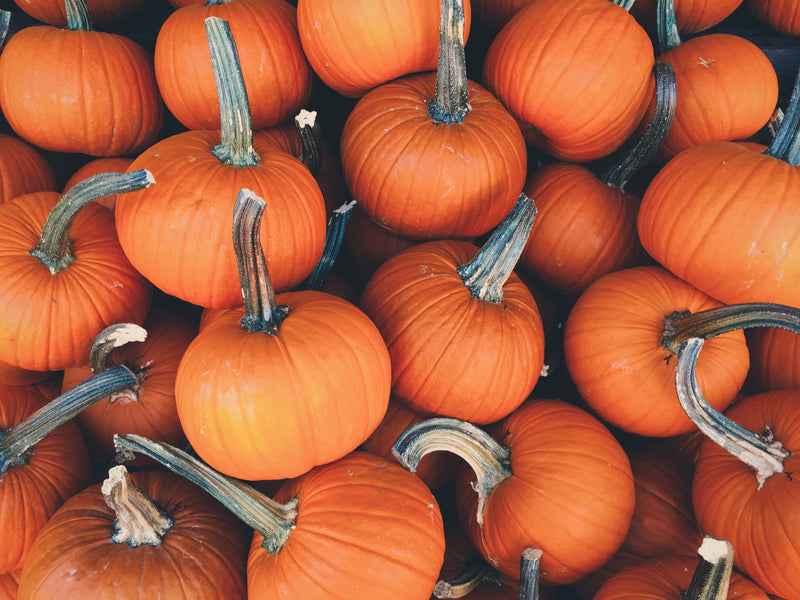 Halloween Reminders: Coping with the Spooky Season when Grieving