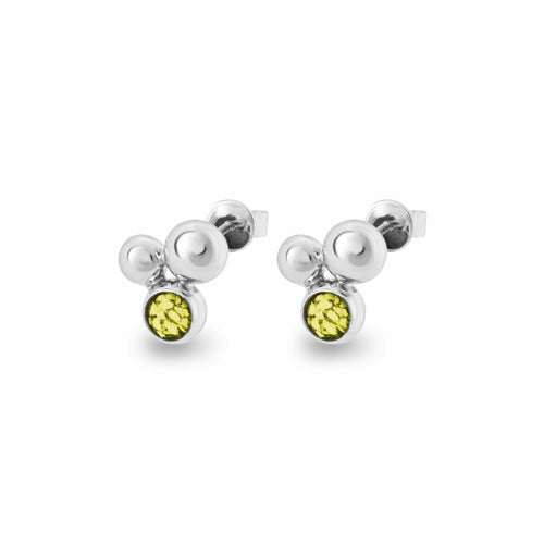 EverWith Ladies Rondure Array Memorial Ashes Earrings