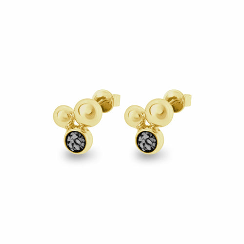 EverWith Ladies Rondure Array Memorial Ashes Earrings