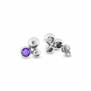 EverWith Ladies Rondure Array Memorial Ashes Earrings