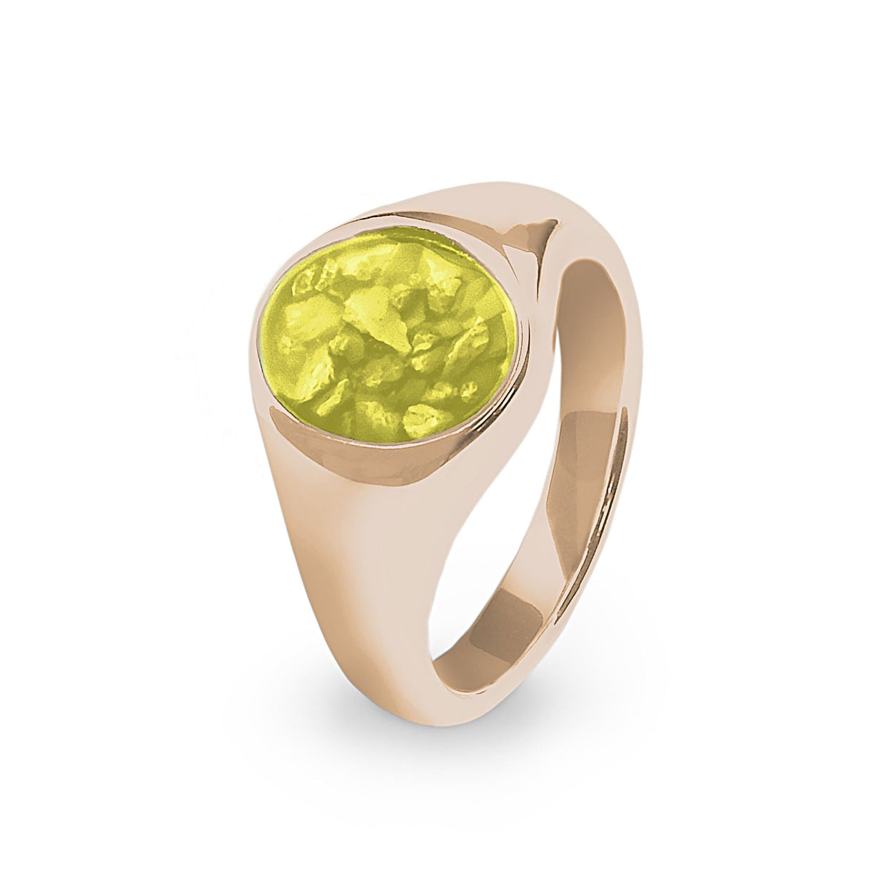 Load image into Gallery viewer, EverWith Unisex Shield Memorial Ashes Ring