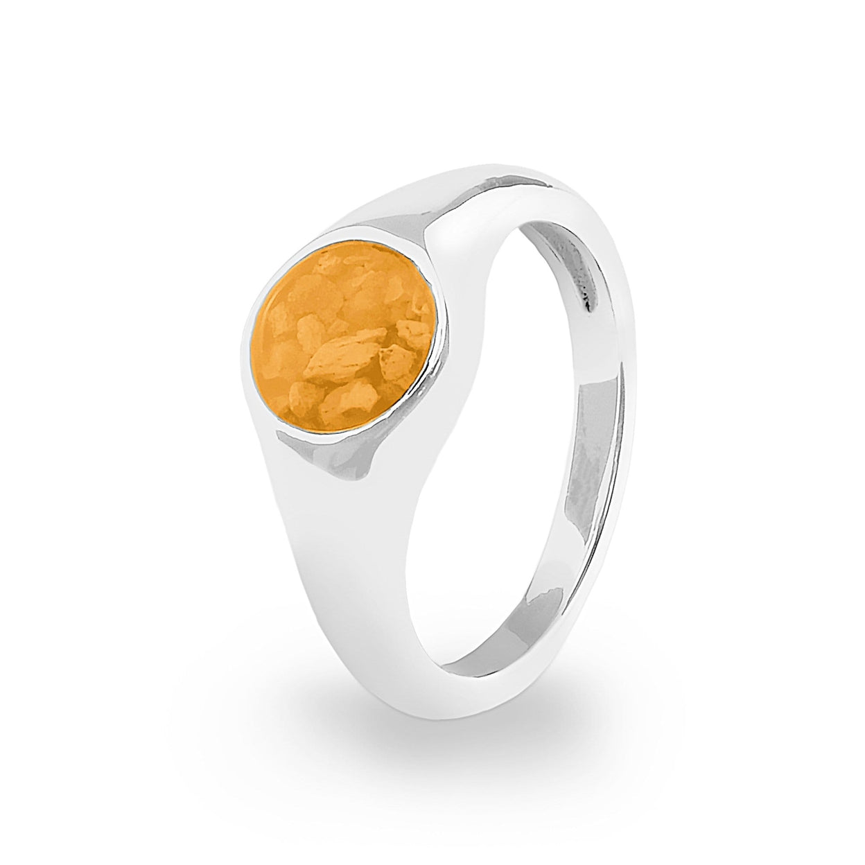 Load image into Gallery viewer, EverWith Unisex Pride Memorial Ashes Ring